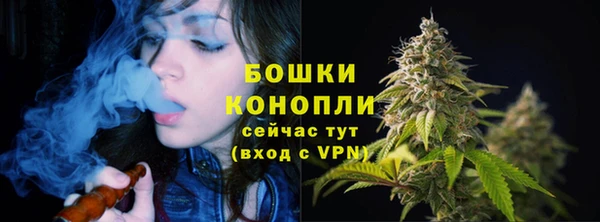spice Покров