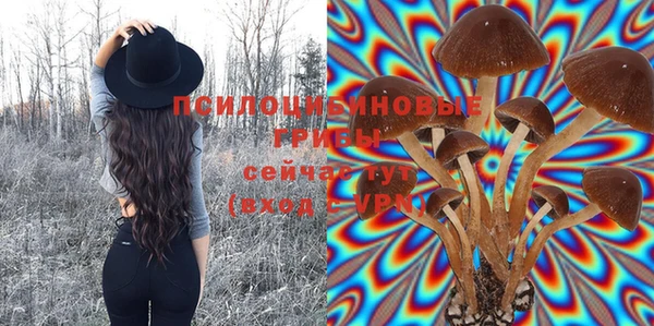 винт Абдулино