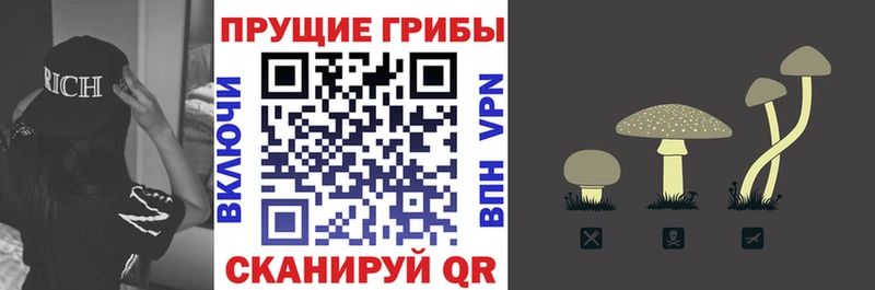 Псилоцибиновые грибы ЛСД Карабаново